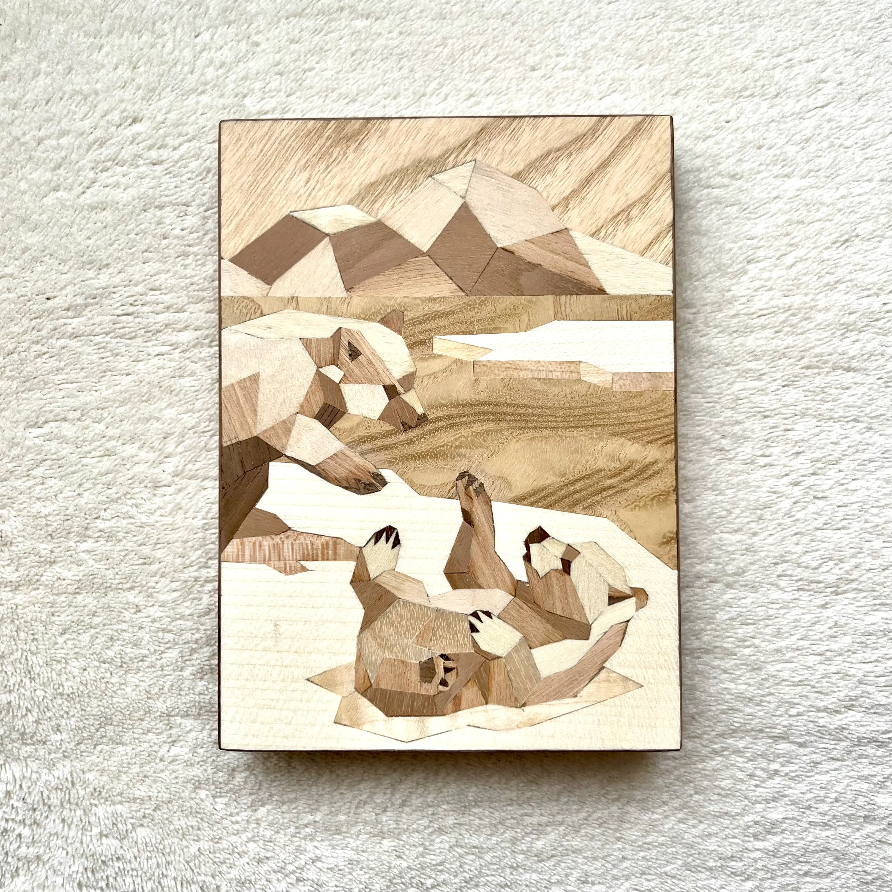 Ours polaire — Arctique
