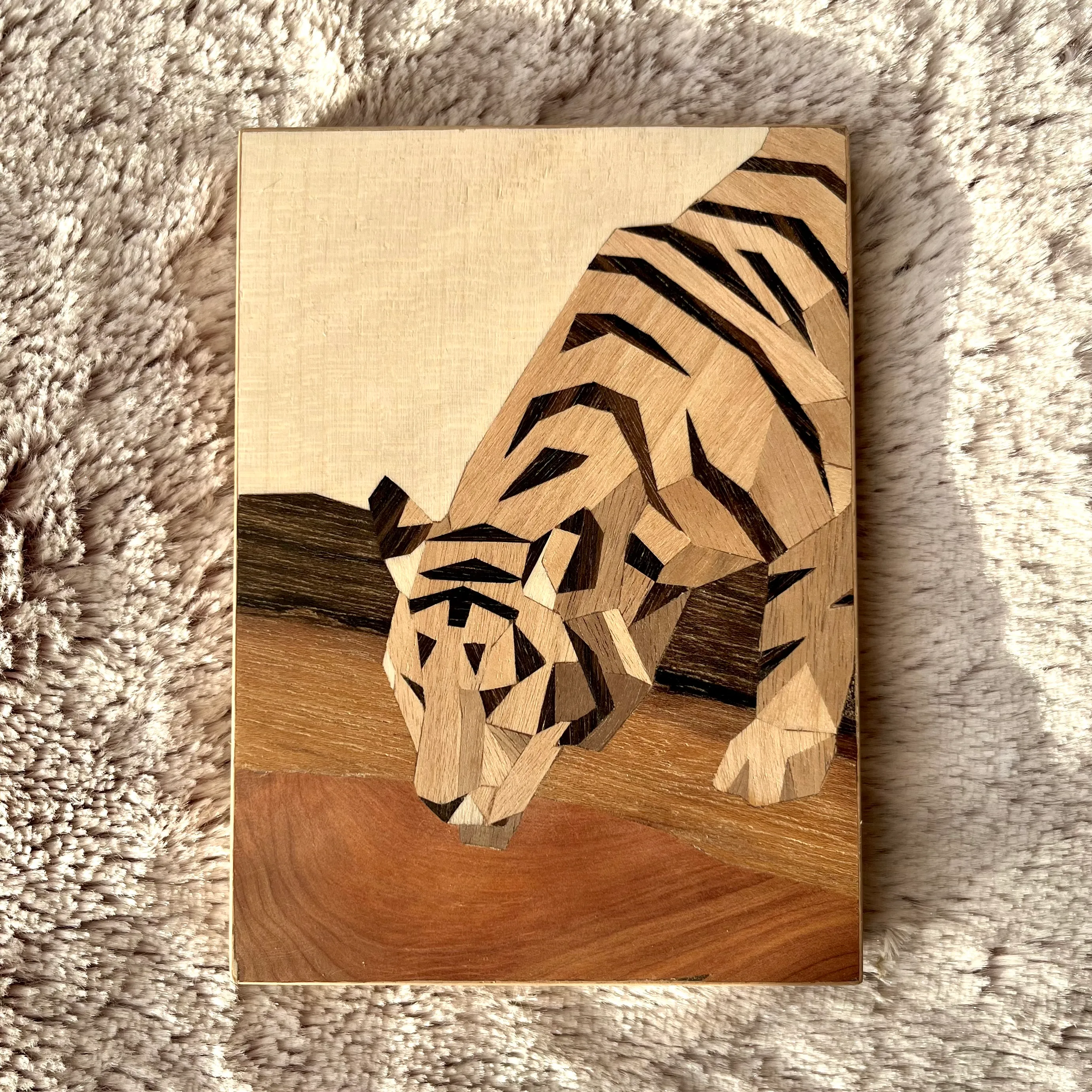 Tigre — Boire
