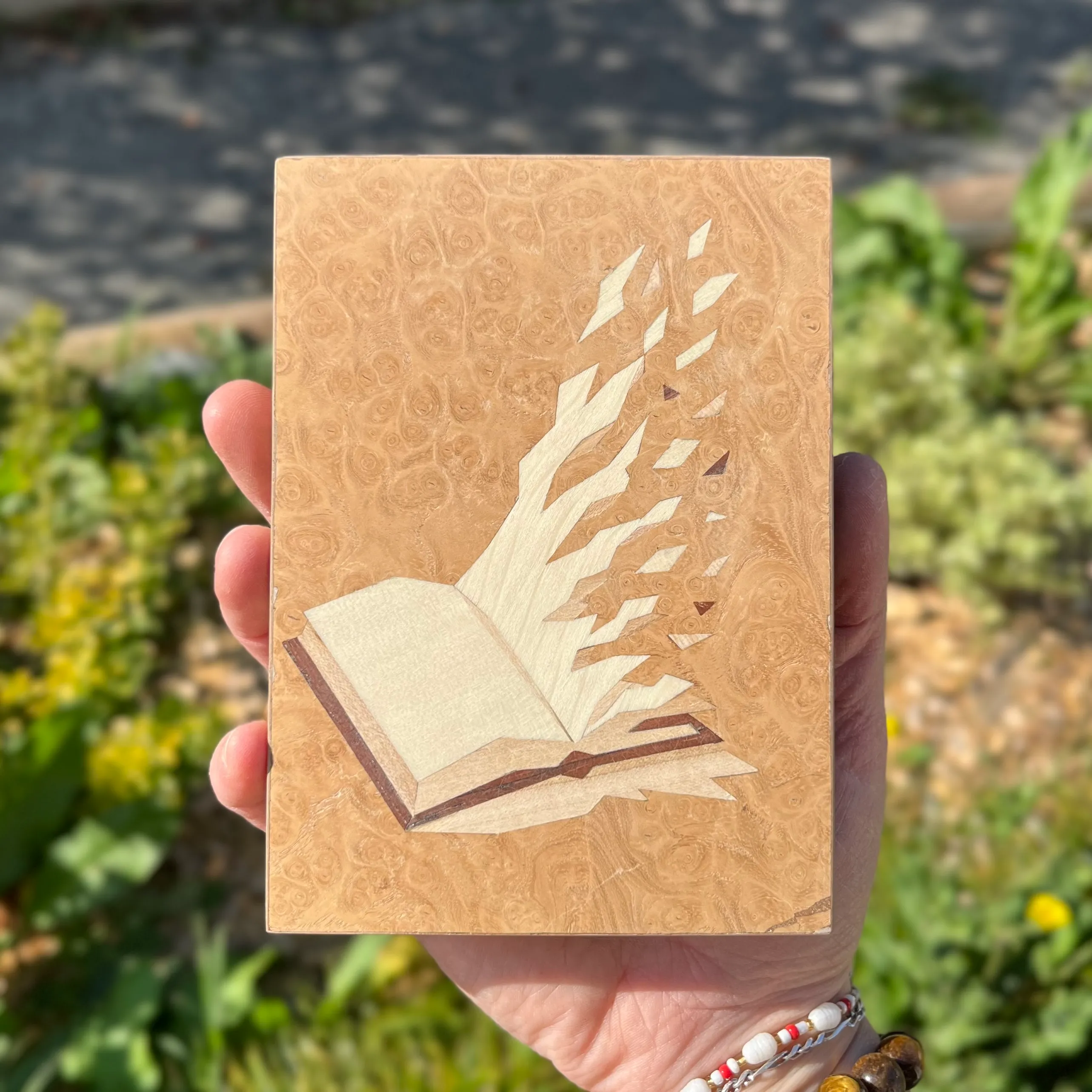 Livre — En lambeaux